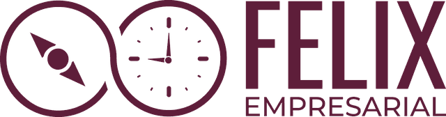 FELIX EMPRESARIAL